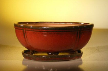 Parisian Red Ceramic Bonsai Pot - Oval / Lotus Shaped  Professional Series With Attached Humidity/Drip tray   10.75" x 8.5" x 4.125" - Culture Kraze Marketplace.com