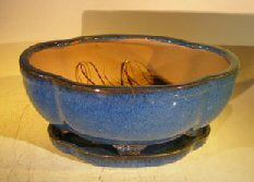 Blue Ceramic Bonsai Pot- Lotus Shape Attached Humidity/Drip Tray Professional Series 10.5" x 9.0" x 5.0" - Culture Kraze Marketplace.com