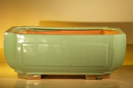 Green Ceramic Bonsai Pot - Rectangle  Professional Series  12.0" x 9.5" x 4.75" - Culture Kraze Marketplace.com