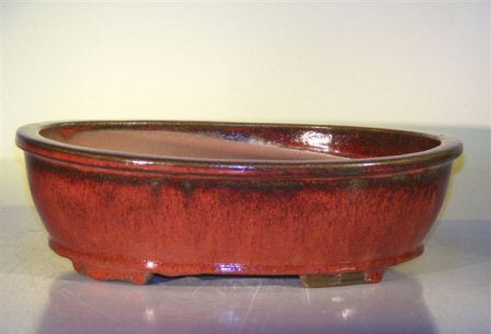Parisian Red Ceramic Bonsai Pot - Oval  14.0" x 11.0" x 4.0" - Culture Kraze Marketplace.com