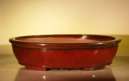 Parisian Red Ceramic Bonsai Pot - Oval  16.0" x 12.5" x 4.0" - Culture Kraze Marketplace.com