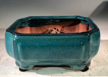 Blue / Green Ceramic Bonsai Pot - Rectangle  Professional Series   6" x 4" x 2" - Culture Kraze Marketplace.com