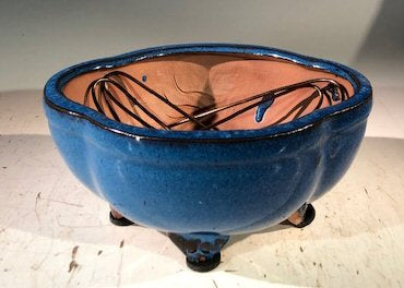 Blue Ceramic Bonsai Pot - Lotus Shaped Professional Series   6" x 4" x 2" - Culture Kraze Marketplace.com