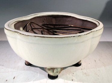 Beige Ceramic Bonsai Pot - Lotus Shaped  Professional Series   6" x 4" x 2" - Culture Kraze Marketplace.com