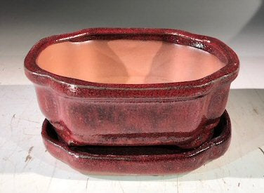 Parisian Red  Ceramic Bonsai Pot -Rectangle With Humidity Drip Tray 6" x 4.5" x 2.5" - Culture Kraze Marketplace.com