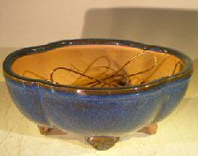 Blue Ceramic Bonsai Pot  Oval Lotus Shaped Professional Series  8.25" x 7.25" x 3.5" - Culture Kraze Marketplace.com