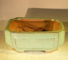 Light Green Ceramic Bonsai Pot - Rectangle Professional Series 8.25" x 6.75" x 3.5" - Culture Kraze Marketplace.com