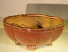 Parisian Red Ceramic Bonsai Pot  - Oval Lotus Shaped  Professional Series  8.5" x 7.0" x 3.5" - Culture Kraze Marketplace.com