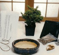 Basic Starter Kit - Juniper Procumbens Make Your Own Bonsai Tree - Culture Kraze Marketplace.com