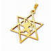 Lion of Judah Emblem in Center of 14K Gold Star of David Pendant - Culture Kraze Marketplace.com