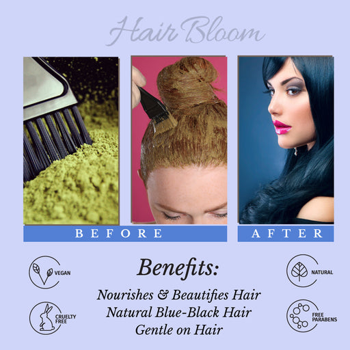 Hair Bloom Natural Blue Black Hair Color- Herbal Indigo w/ False Daisy & Gooseberry Hair Color Powder- 12 individual sachets (10 gm each)- Reusable Brush & Tray Included-1