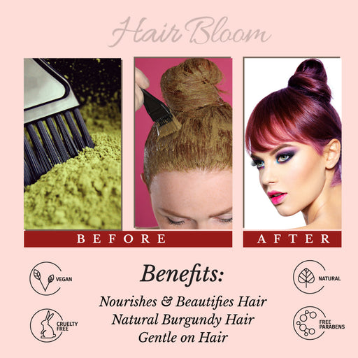 Hair Bloom Natural Burgundy Hair Color- Herbal Henna Burgundy Hair Color Powder- 12 individual sachets (10 gm each)- Reusable Brush & Tray Included-1