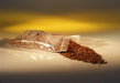 Colorado Lava Rock Granules Bonsai Tree Soil Additive - 5 lbs. (2.5 Qts.) - Culture Kraze Marketplace.com