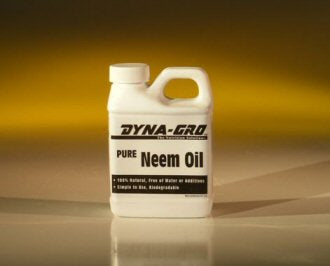 Neem Oil Organic Concentrate 8 Ounces - Culture Kraze Marketplace.com