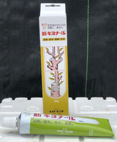 Bonsai Wound / Cut Paste Dressing - 100 Gram Tube   Seals Bonsai Tree Wounds - Culture Kraze Marketplace.com