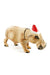 Santa's Little Hippo Helper Sculpture - Culture Kraze Marketplace.com