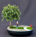 Flowering Brush Cherry Bonsai Tree  Miniature Golf Course Scene  (eugenia myrtifolia) - Culture Kraze Marketplace.com