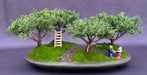 Shimpaku Juniper Bonsai Tree Four (4) Tree Forest Group  (juniperus chinensis) - Culture Kraze Marketplace.com