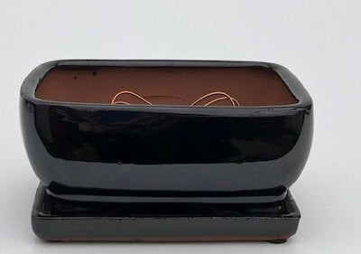 Black Ceramic Bonsai Pot- Rectangle  Professional Series With Attached Humidity/Drip Tray  8.25" x 6.0" x 4.0" - Culture Kraze Marketplace.com
