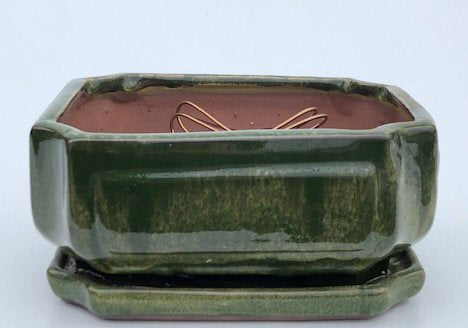 Wood-lawn Green Ceramic Bonsai Pot - Rectangle Professional Series with Attached Humidity/Drip tray  8" x 6" x 4" - Culture Kraze Marketplace.com