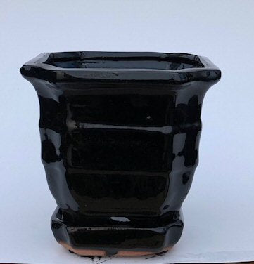 Black Ceramic Bonsai Pot - Square  With Attached Humidity / Drip Tray 5.5" x 5.5" x 5.5" - Culture Kraze Marketplace.com