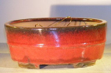Parisian Red Ceramic Bonsai Pot - Oval  Professional Series   10" x 8" x 4" - Culture Kraze Marketplace.com