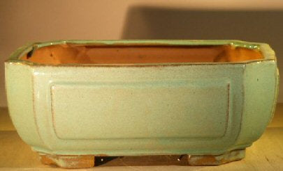 Light Green Ceramic Bonsai Pot - Rectangle  Professional Series   10" x 8" x 4" - Culture Kraze Marketplace.com
