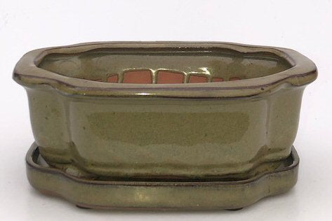 Olive Green Ceramic Bonsai Pot - Rectangle With Humidity Drip Tray 8.5" x 6.5" x 3" - Culture Kraze Marketplace.com