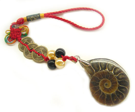 Snail Ammonite - Culture Kraze Marketplace.com