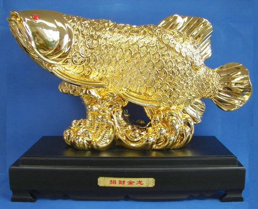 Huge Golden Arowana Fish - Culture Kraze Marketplace.com