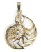 Gold Color Snail Shell Protection Crystal Necklace Pendant - Culture Kraze Marketplace.com