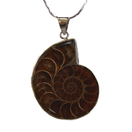 Ammonite Gemstone Pendant - Culture Kraze Marketplace.com