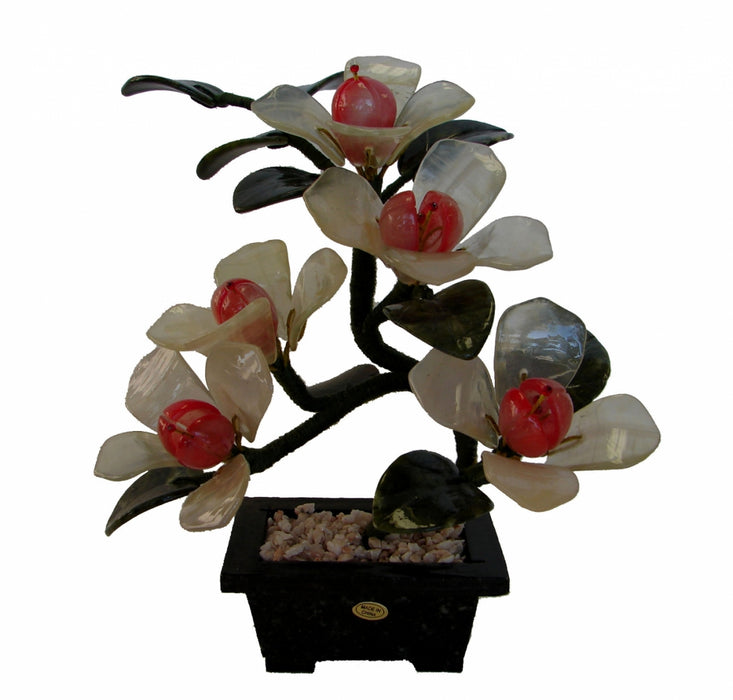 Jade Michelia Figo Plant - Culture Kraze Marketplace.com