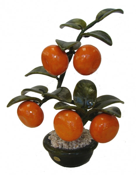 Jade Tangerine Plant - Culture Kraze Marketplace.com
