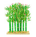 Bamboo Forest of Prosperity Tree Sculpture - Culture Kraze Marketplace.com