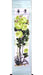 Green Peony Flower Scroll Picture - Culture Kraze Marketplace.com