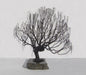Wire Bonsai Tree Sculpture - Weeping Willow Style - Culture Kraze Marketplace.com