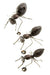 Set of Three Recycled Metal Ants for the Wall - Culture Kraze Marketplace.com
